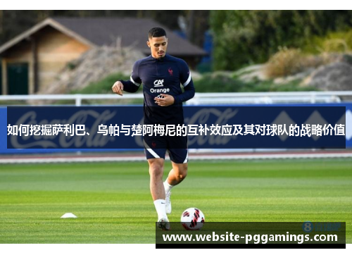 如何挖掘萨利巴、乌帕与楚阿梅尼的互补效应及其对球队的战略价值