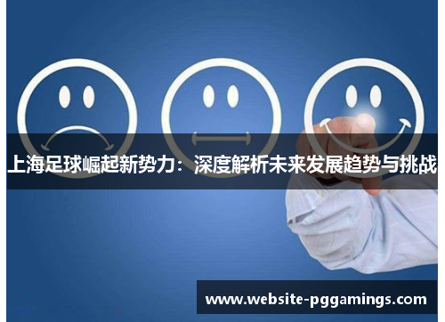 上海足球崛起新势力：深度解析未来发展趋势与挑战