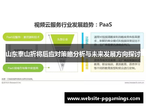 山东泰山折将后应对策略分析与未来发展方向探讨