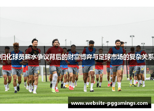 归化球员薪水争议背后的财富博弈与足球市场的复杂关系