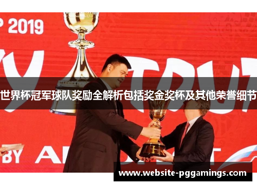 世界杯冠军球队奖励全解析包括奖金奖杯及其他荣誉细节