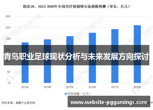 青岛职业足球现状分析与未来发展方向探讨
