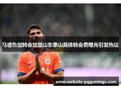 马德鲁加转会加盟山东泰山具体转会费曝光引发热议