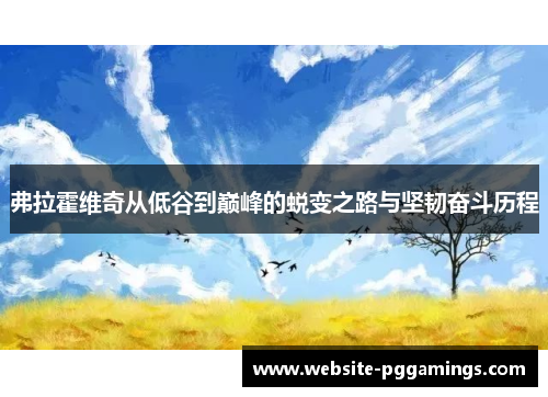 弗拉霍维奇从低谷到巅峰的蜕变之路与坚韧奋斗历程
