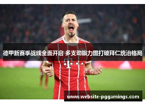 德甲新赛季战线全面开启 多支劲旅力图打破拜仁统治格局