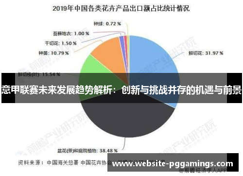 意甲联赛未来发展趋势解析：创新与挑战并存的机遇与前景